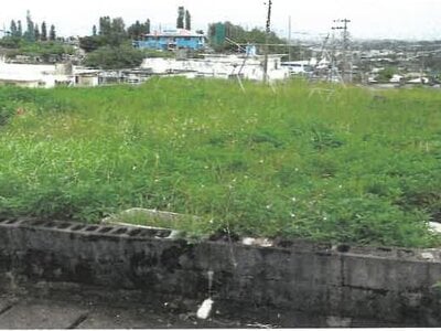 沖縄県うるま市 農地 1,628万円の競売物件情報 #1