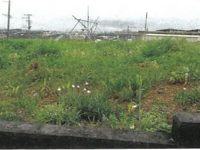 沖縄県うるま市 農地 1,628万円の競売物件情報 #2