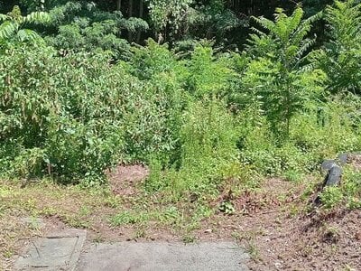 (値下げ) 群馬県吾妻郡長野原町 群馬大津駅4分 土地 75万円の官公庁公売物件情報 #1