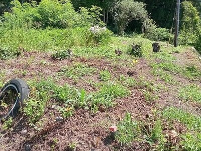 (値下げ) 群馬県吾妻郡長野原町 群馬大津駅4分 土地 75万円の官公庁公売物件情報 #2