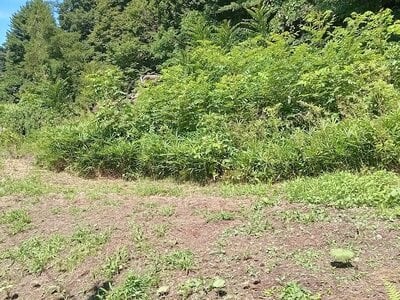 (値下げ) 群馬県吾妻郡長野原町 群馬大津駅4分 土地 75万円の官公庁公売物件情報 #3