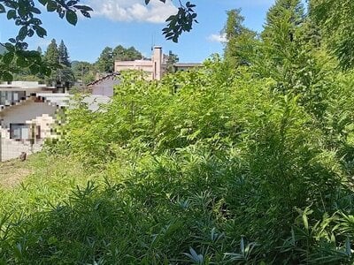 (値下げ) 群馬県吾妻郡長野原町 群馬大津駅4分 土地 75万円の官公庁公売物件情報 #4