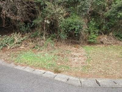 千葉県山武市 日向駅14分 土地 43万円の官公庁公売物件情報 #2