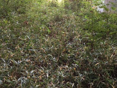 (値下げ) 山梨県北杜市 日野春駅 土地 176万円の官公庁公売物件情報 #10