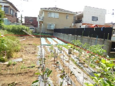 (値下げ) 千葉県八街市 八街駅9分 土地 196万円の官公庁公売物件情報 #5