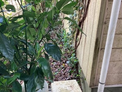 千葉県八街市 八街駅29分 戸建て 59万円の官公庁公売物件情報 #14