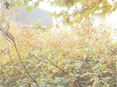 北海道札幌市清田区 福住駅 土地 1,719万円の官公庁公売物件情報 #5