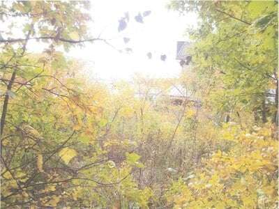 北海道札幌市清田区 福住駅 土地 1,719万円の官公庁公売物件情報 #6