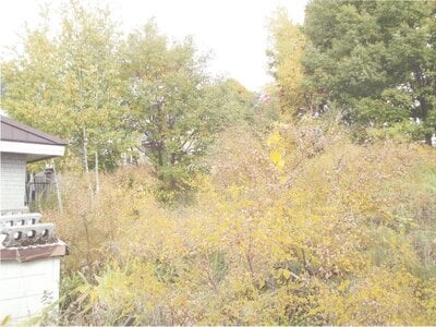 北海道札幌市清田区 福住駅 土地 1,719万円の官公庁公売物件情報 #7