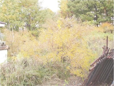 北海道札幌市清田区 福住駅 土地 1,719万円の官公庁公売物件情報 #8