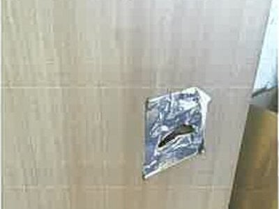 埼玉県入間市 武蔵藤沢駅26分 戸建て 1,367万円の競売物件情報 #12