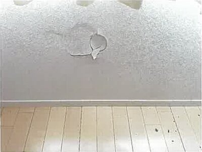 埼玉県坂戸市 北坂戸駅 戸建て 1,618万円の競売物件情報 #21