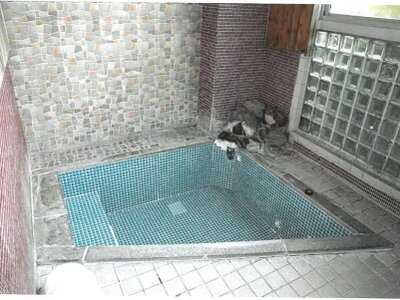 岐阜県下呂市 下呂駅4分 戸建て 697万円の競売物件情報 #29