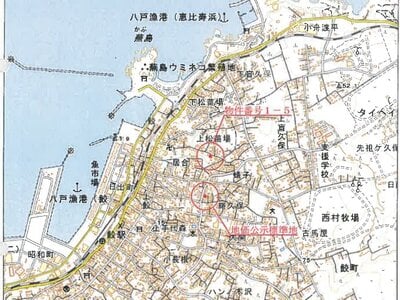 青森県八戸市 鮫駅10分 土地 226万円の競売物件情報 #11