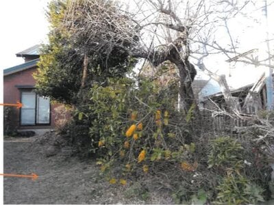 宮崎県宮崎市 宮崎神宮駅 戸建て 375万円の競売物件情報 #18