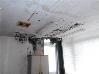 宮崎県日南市 榎原駅3分 戸建て 227万円の競売物件情報 #11