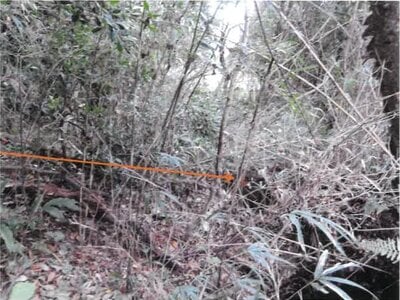 宮崎県日南市 榎原駅3分 戸建て 227万円の競売物件情報 #26