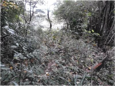 宮崎県日南市 榎原駅3分 戸建て 227万円の競売物件情報 #27