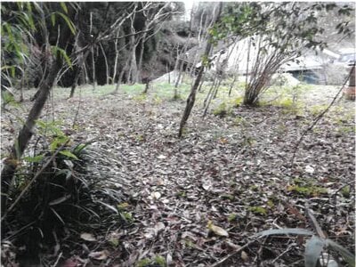 宮崎県日南市 榎原駅3分 戸建て 227万円の競売物件情報 #28