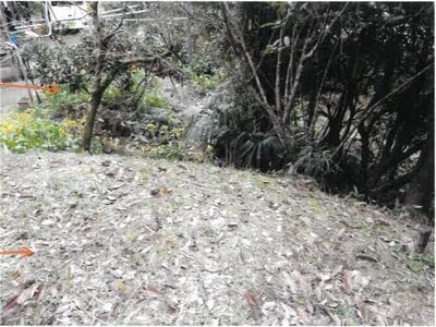 宮崎県日南市 榎原駅3分 戸建て 227万円の競売物件情報 #30