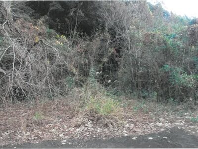 宮崎県日南市 榎原駅3分 戸建て 227万円の競売物件情報 #40