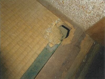 東京都八王子市 北野駅11分 戸建て 500万円の競売物件情報 #5