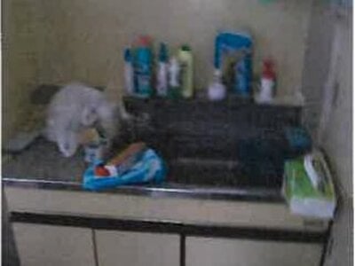 東京都国立市 西国立駅13分 戸建て 6,255万円の競売物件情報 #3