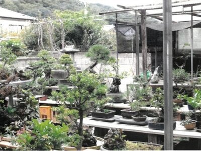 (値下げ) 群馬県みどり市 岩宿駅5分 戸建て 134万円の競売物件情報 #12