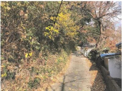 神奈川県中郡大磯町 大磯駅4分 土地 81万円の競売物件情報 #4