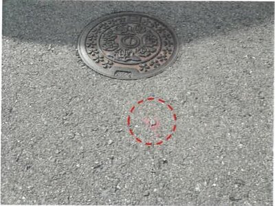 (値下げ) 大阪府寝屋川市 寝屋川市駅20分 土地 639万円の競売物件情報 #10