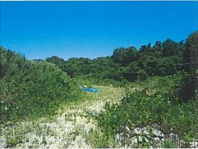 (値下げ) 山口県宇部市 床波駅 土地 71万円の競売物件情報 #5
