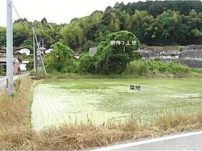 島根県安来市 安来駅 土地 82万円の競売物件情報 #1