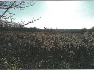 北海道中川郡本別町 農地 131万円の競売物件情報 #13
