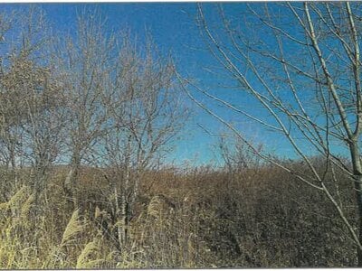 北海道中川郡本別町 農地 131万円の競売物件情報 #8