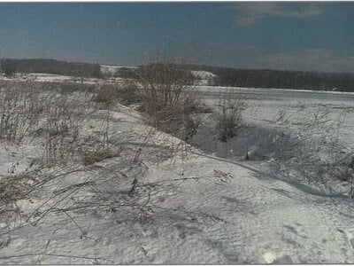 北海道中川郡本別町 農地 276万円の競売物件情報 #14