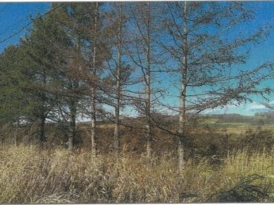 北海道中川郡本別町 農地 147万円の競売物件情報 #2