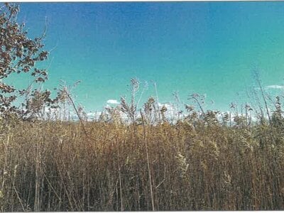 北海道中川郡本別町 農地 147万円の競売物件情報 #3