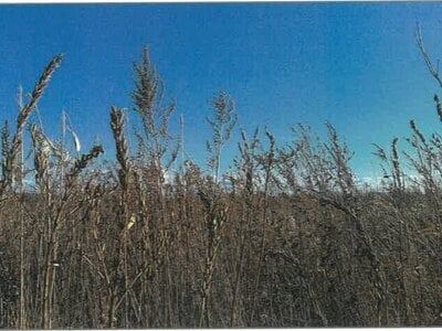 北海道中川郡本別町 農地 147万円の競売物件情報 #4