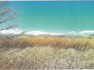 北海道中川郡本別町 農地 147万円の競売物件情報 #5