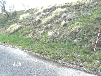 栃木県鹿沼市 楡木駅 土地 1,000円の競売物件情報 #1