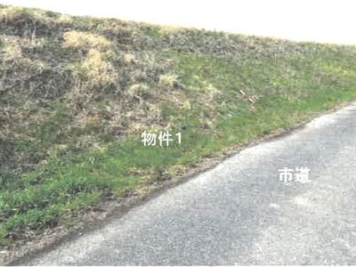 栃木県鹿沼市 楡木駅 土地 1,000円の競売物件情報 #2