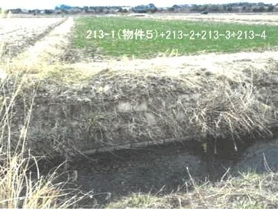 栃木県鹿沼市 楡木駅30分 農地 11万円の競売物件情報 #3