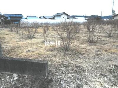 栃木県鹿沼市 楡木駅 農地 11万円の競売物件情報 #1