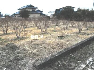 栃木県鹿沼市 楡木駅 農地 11万円の競売物件情報 #2
