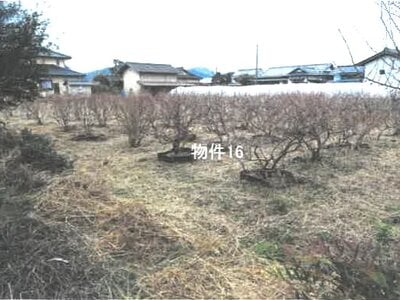 栃木県鹿沼市 楡木駅 農地 11万円の競売物件情報 #3