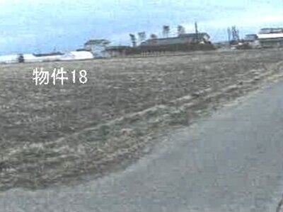 栃木県鹿沼市 楡木駅30分 農地 98万円の競売物件情報 #1