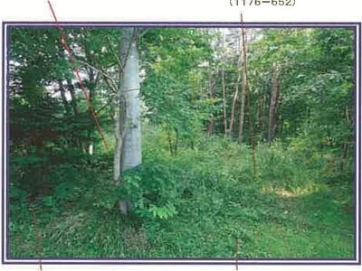 (値下げ) 山梨県北杜市 甲斐小泉駅20分 土地 93万円の競売物件情報 #11