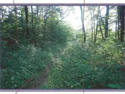 (値下げ) 山梨県北杜市 甲斐小泉駅20分 土地 93万円の競売物件情報 #13