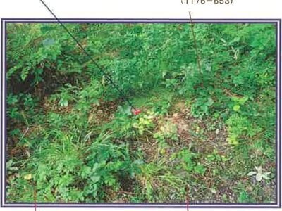 (値下げ) 山梨県北杜市 甲斐小泉駅20分 土地 93万円の競売物件情報 #15