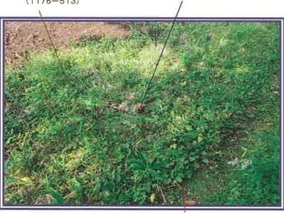 (値下げ) 山梨県北杜市 甲斐小泉駅20分 土地 93万円の競売物件情報 #16